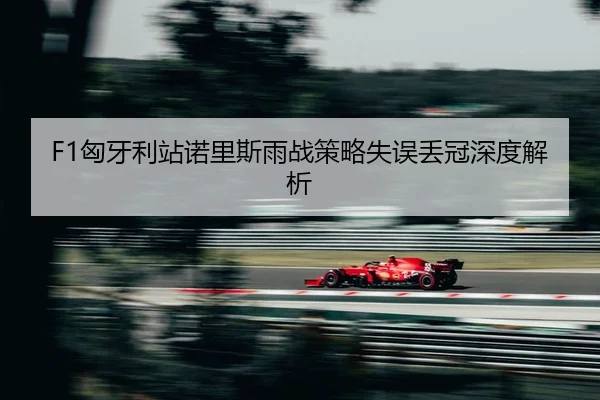 xiong-ya-li-zhan-nuo-li-si-yu-zhan-ce-lve-shi-wu-diu-guan-shen-du-jie-xi-2-397.jpg