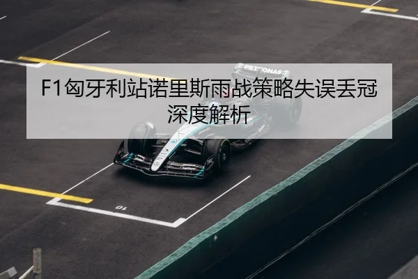 xiong-ya-li-zhan-nuo-li-si-yu-zhan-ce-lve-shi-wu-diu-guan-shen-du-jie-xi-3-958.jpg