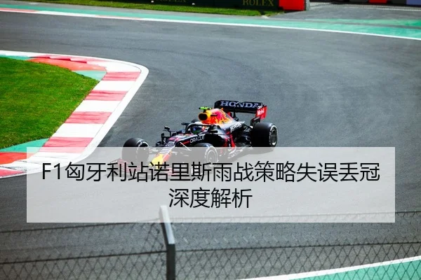 F1匈牙利站诺里斯雨战策略失误丢冠深度解析