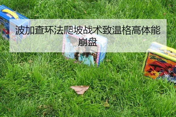 bo-jia-cha-huan-fa-pa-po-zhan-shu-zhi-wen-ge-gao-ti-neng-beng-pan-3-147.jpg