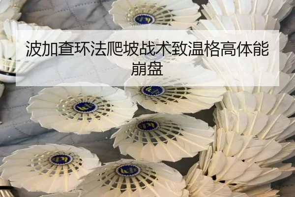 波加查环法爬坡战术致温格高体能崩盘