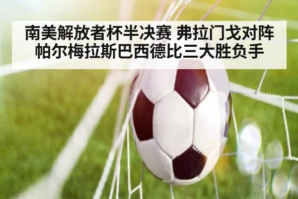南美解放者杯半决赛 弗拉门戈对阵帕尔梅拉斯巴西德比三大胜负手