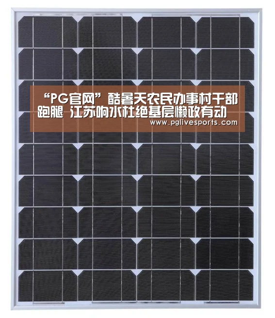 “PG官网”酷暑天农民办事村干部跑腿 江苏响水杜绝基层懒政有动力(图1) PG入口